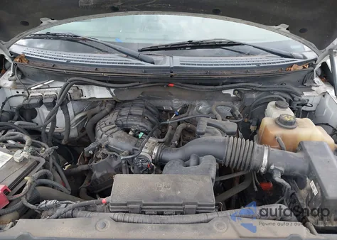 2013 Ford F-150 Xl z USA, uszkodzony, nr VIN 1FTMF1EM9DKE77408